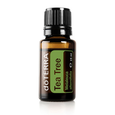 doTERRA Tea Tree (Melaleuca) – eterisk olja 15 ml (CPTG