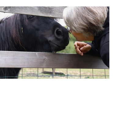 Rid och natur terapi