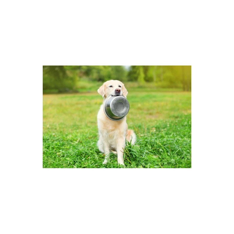 Matskål rostfri - 25 cm