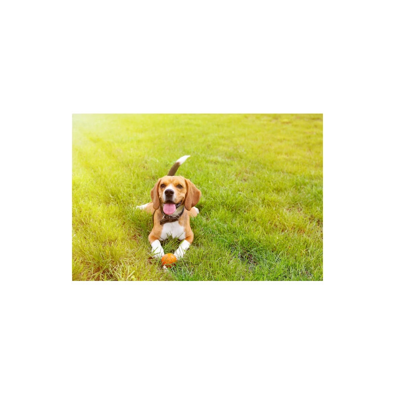 Hårdgummiboll mixade färger - 7 cm