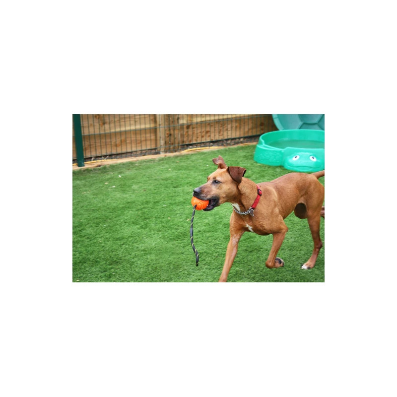 Massiv gummiboll med snöre som flyter - 5 cm