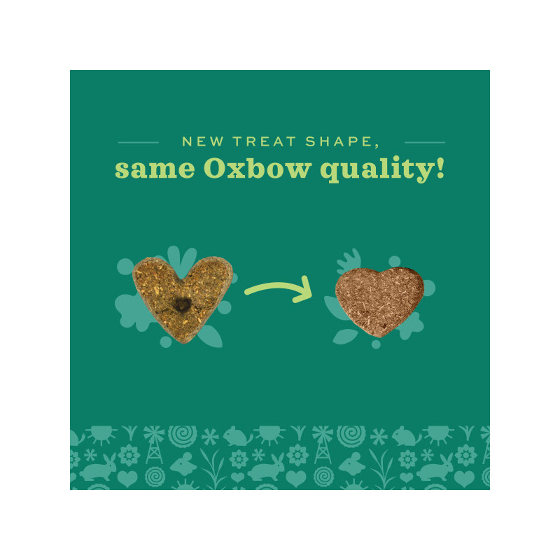 Simple rewards baked treats with apple and banana