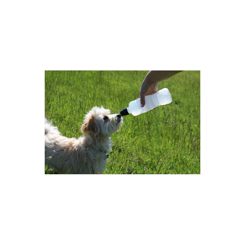 Vattenflaska med skål