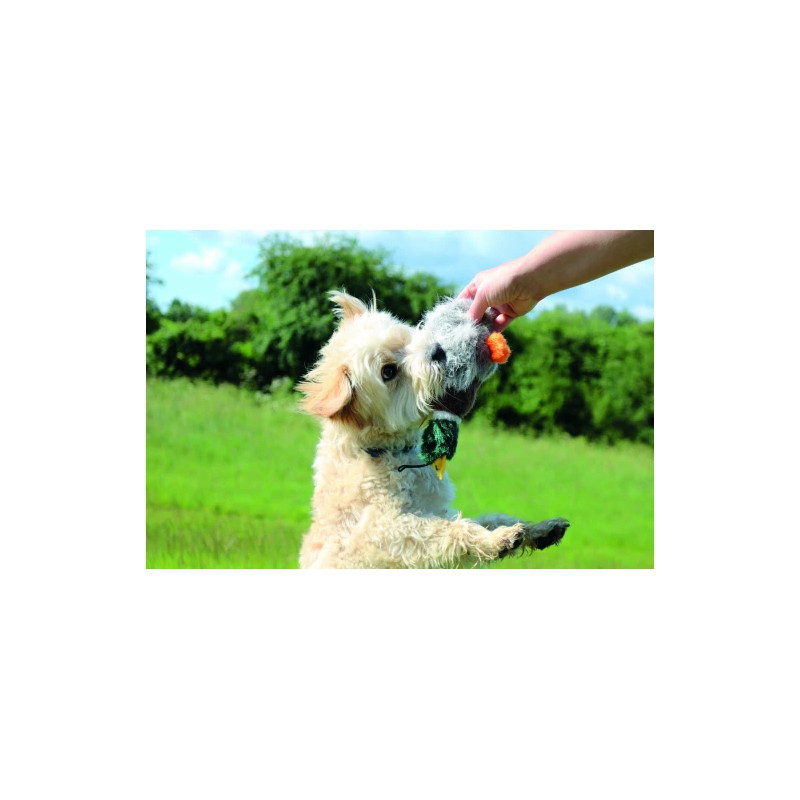 Plyschand med ljud - Small