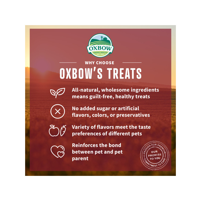 Simple rewards veggie treats