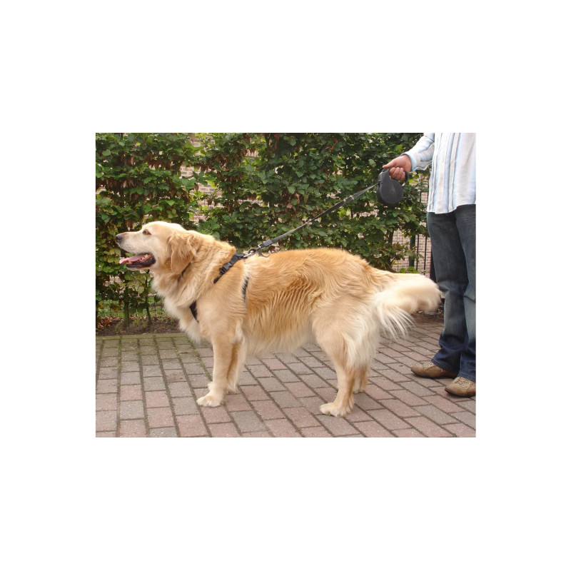 Säkerhetsbälte till hund - Large