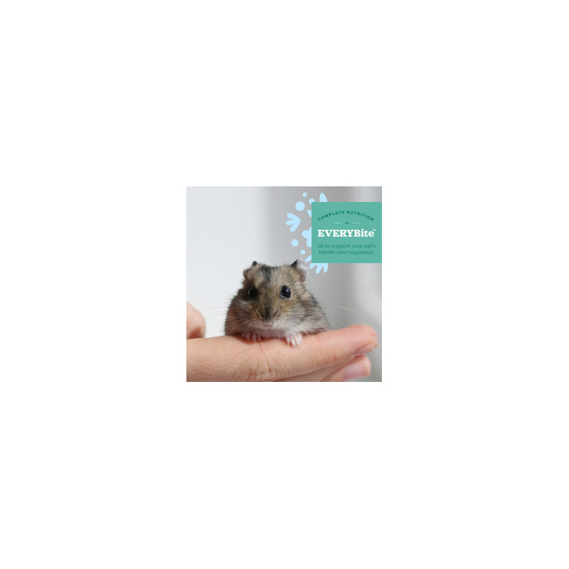 Hamster och Gerbil mat - 454 g