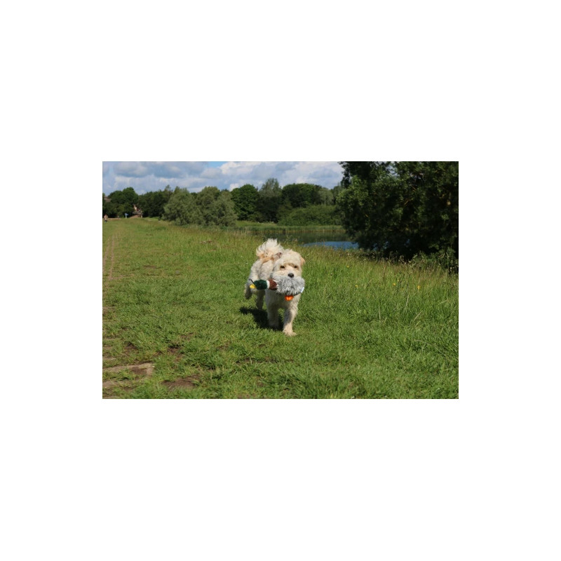 Plyschand med ljud - Large