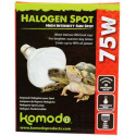 Halogen Spot Bulb - 35W