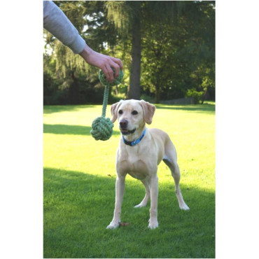 Flossrephantel king-size