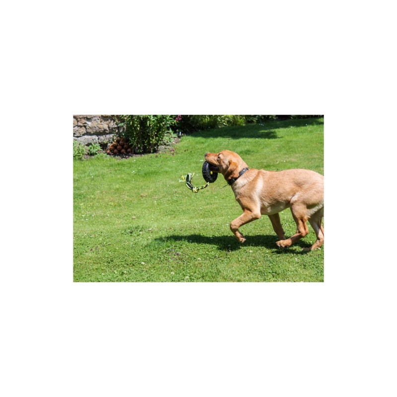 Gummihjul Grrrelli - Medium, Svart