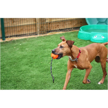 Massiv gummiboll med snöre som flyter - 8 cm