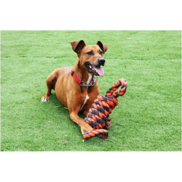 Flossrulle extreme med två handtag