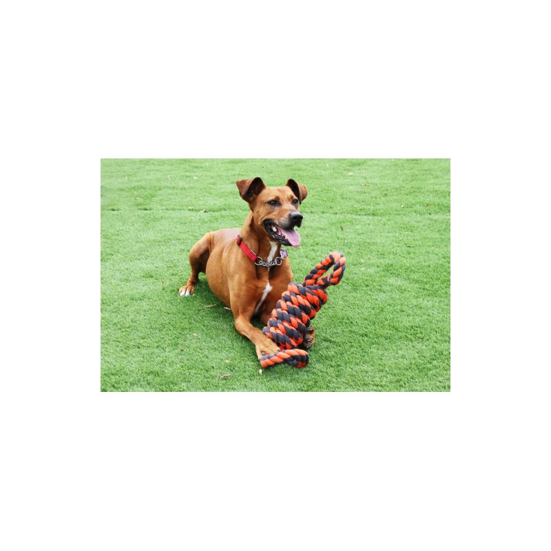 Flossrulle extreme med två handtag