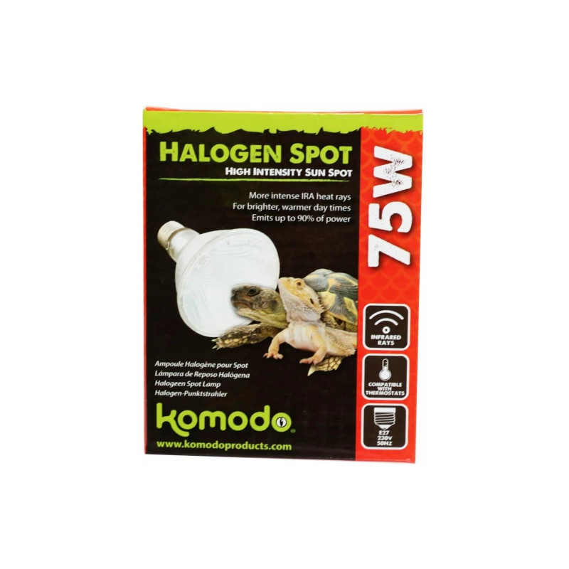 Halogen Spot Bulb - 100W