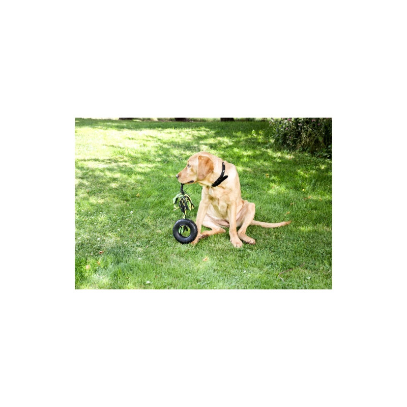 Gummihjul Grrrelli - Large, Grön