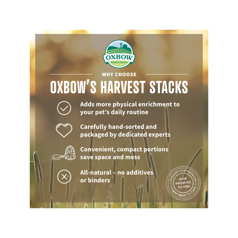 Harvest stacks timotej