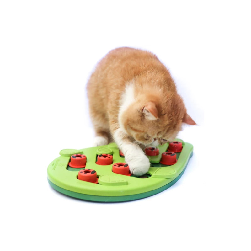 Puzzle & Play Buggin Out