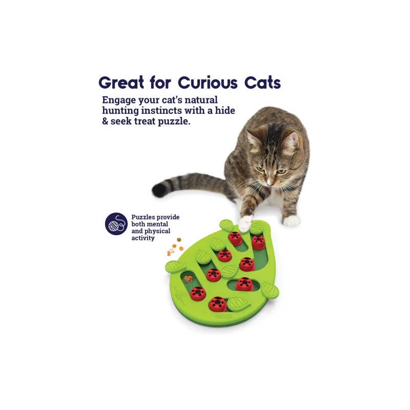 Puzzle & Play Buggin Out