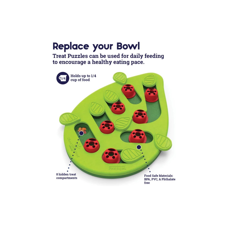 Puzzle & Play Buggin Out