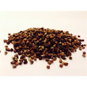 Kardemummakärna hel 20 g