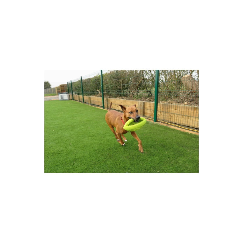 Grubber gummileksaker - Large