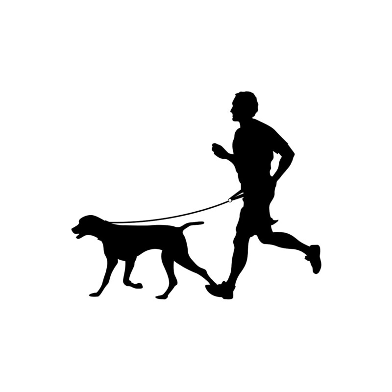 Joggingkoppel Reflex med stretch och handtag - Medium