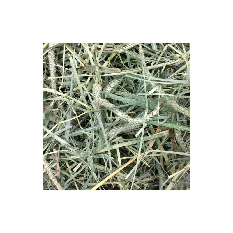 Hö Blends Western timothy och Orchad - 2.55 kg