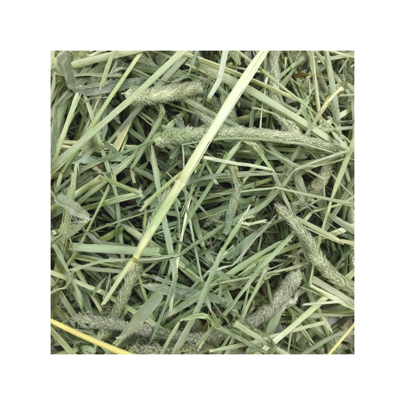 Hö western timothy - 2.55 kg