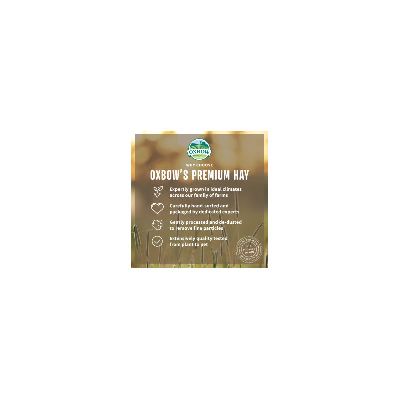 Hö alfalfa - 4.08 kg