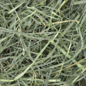Hö orchard grass - 22.5 kg