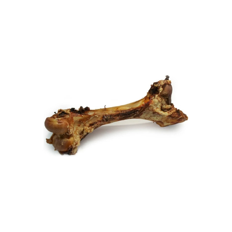 Ben – Nöt – Gigant OXBEN TORKAT 40-60CM