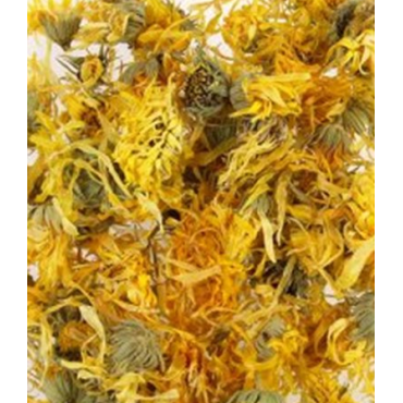 Ringblomma BLOMHUVUD (Calendula officinalis) – En traditionellt använd ört
