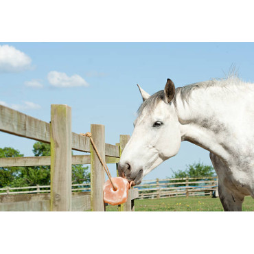 Vilket salt ska jag välja till min häst
