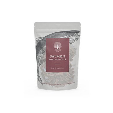 Essential Salmon Mini Delights, Hundgodis, 100g