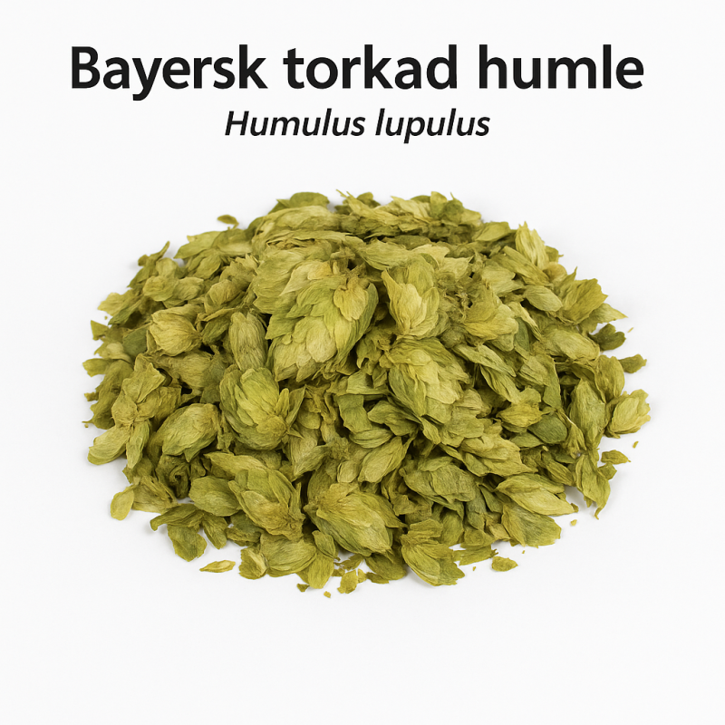 Bayersk torkad humle – Humulus lupulus av högsta kvalitet