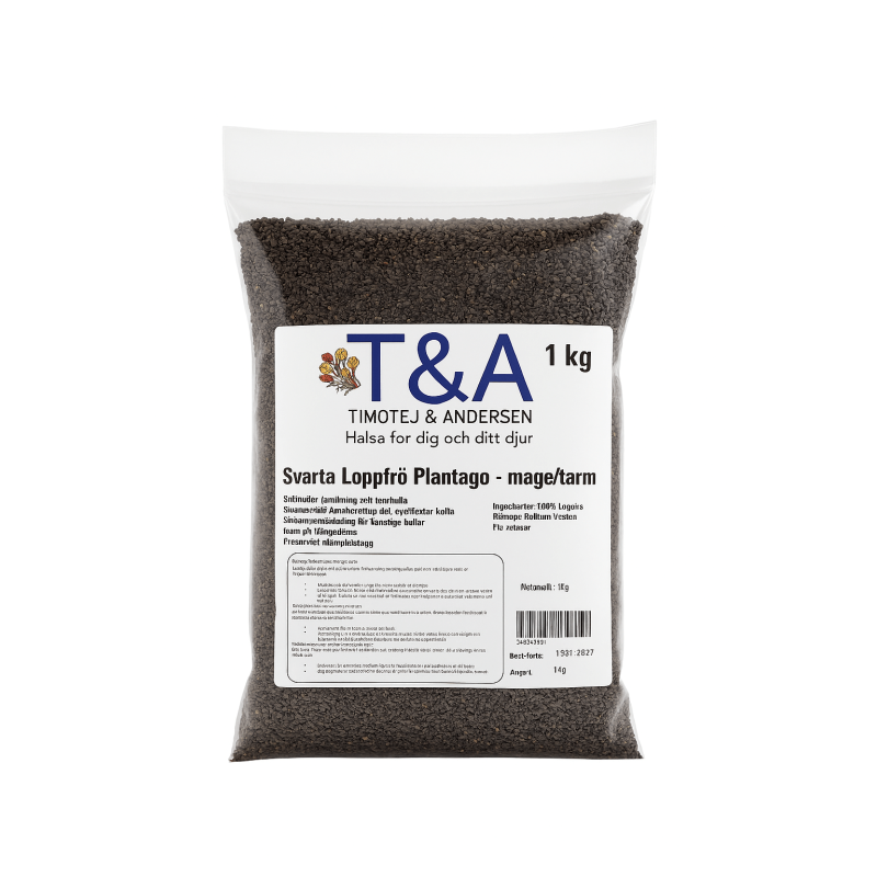 Svarta Loppfrö Plantago - mage/tarm