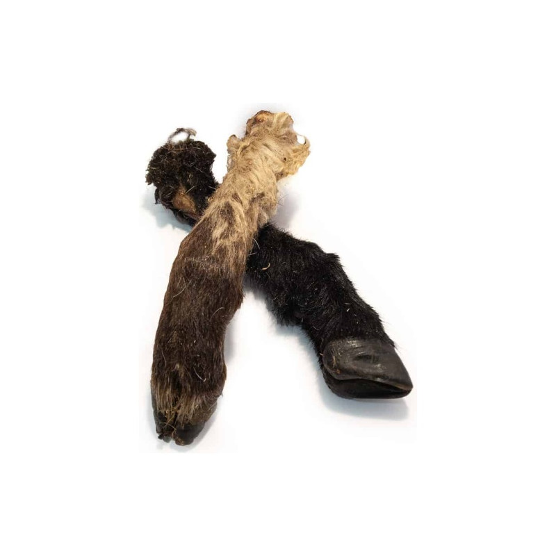 LAMMBEN M. PÄLS O KLÖVE