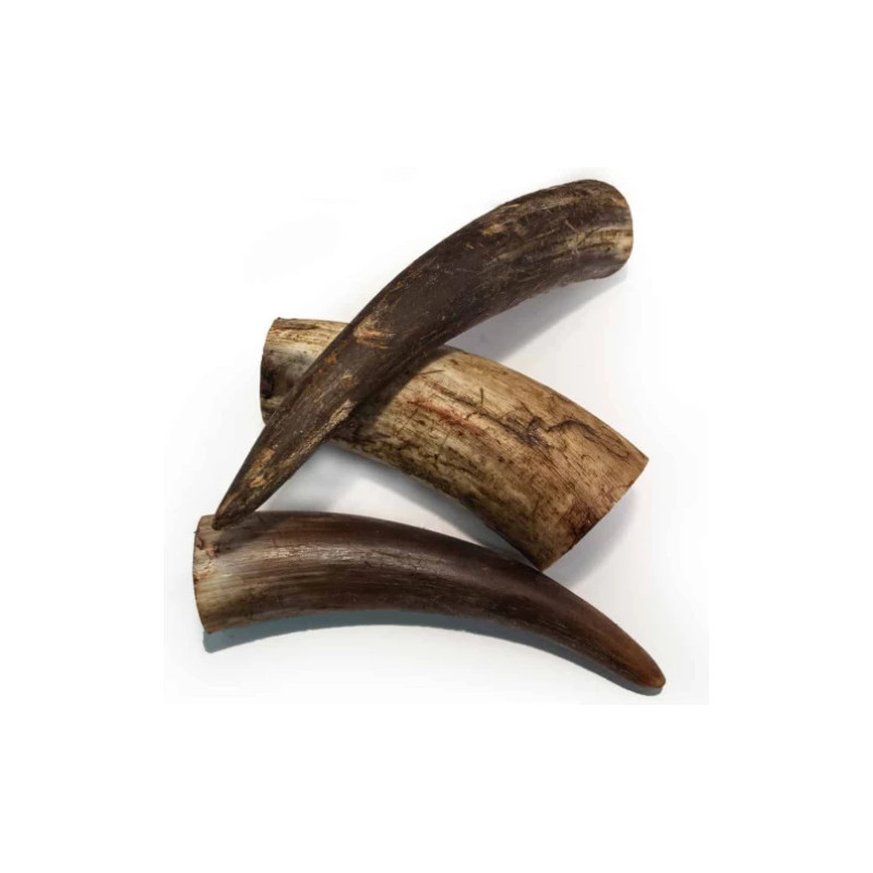 Nöthorn 1 kg – torkade hundtugg 10–20 cm från Sverige