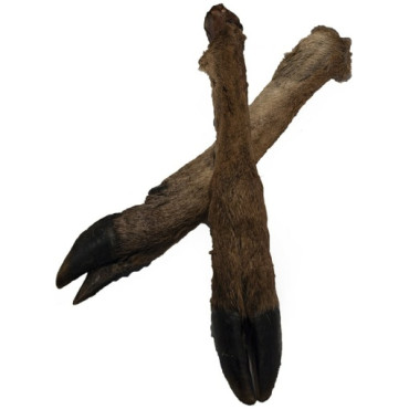 Viltben med klöve & päls torkat 20-35cm styckvis