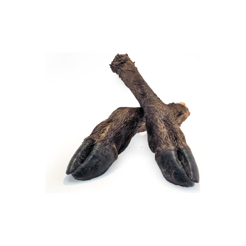 HJORTBEN M.PÄLS O KLÖV 35-45CM