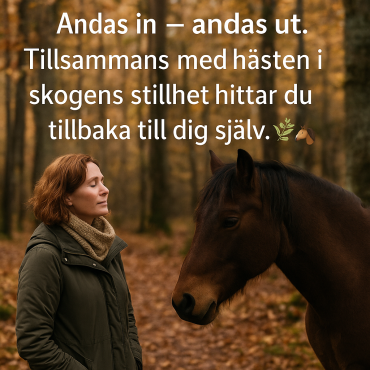 Skogsbad med Häst eller Ponny – En Helande Upplevelse i Naturen