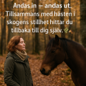 Skogsbad med Häst eller Ponny – En Helande Upplevelse i Naturen