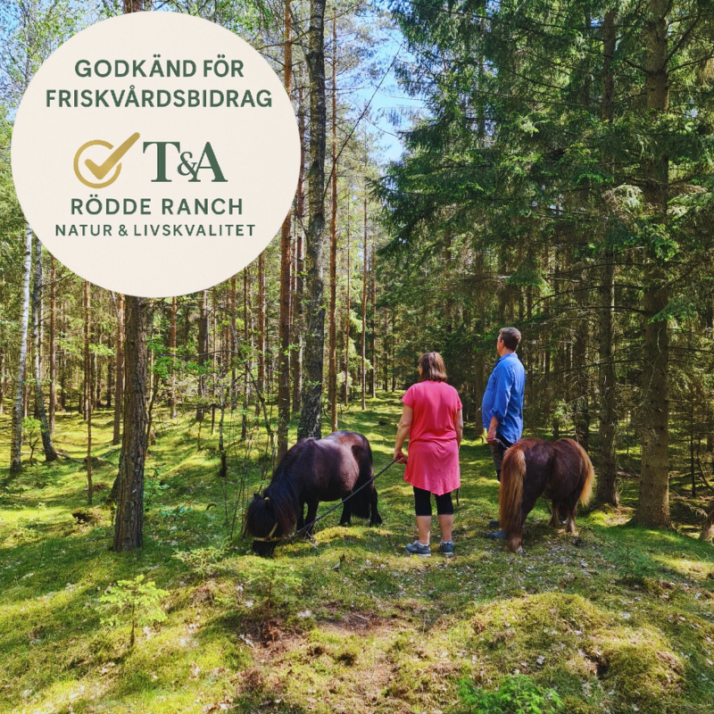 Skogsbad med Häst eller Ponny – En Helande Upplevelse i Naturen