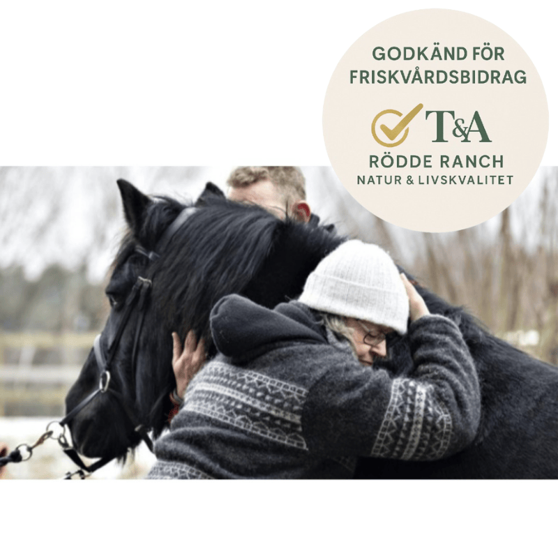 Personlig utveckling med häst – Rid- och naturterapi för vuxna