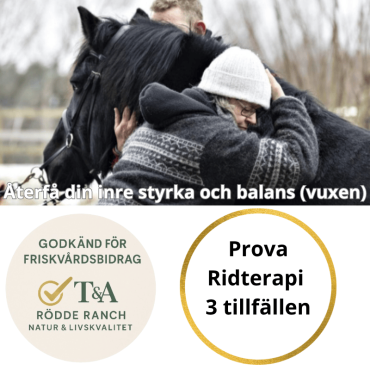 Prova Ridterapi: 3 Tillfällen till Specialpris – Återfå Din Inre Styrka, vuxen