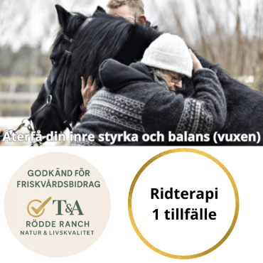 Personlig utveckling med häst – Rid- och naturterapi 1 tillfälle (vuxen)