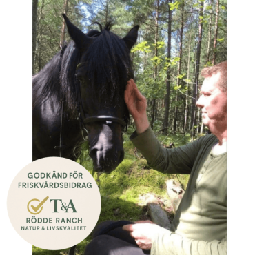 Mindfulness-Tur i Skogen med Häst – 60 Minuter av Inre Lugnet