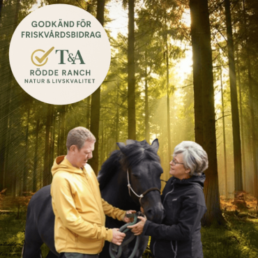 Effektiv och stärkande ridterapi för små grupper (5 sessioner)