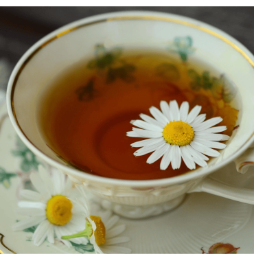 Tesmakning i Skurup – en stilla stund i början av året